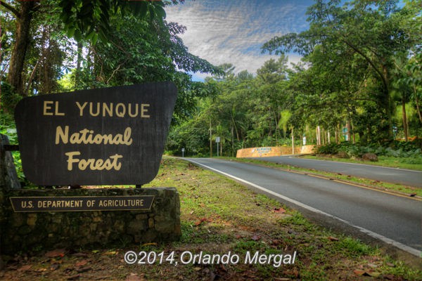 Entrance to El Yunque National Forest