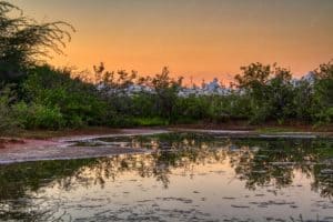 First light at the Wildlife Refuge in Cabo Rojo Puerto Rico