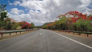 “Flamboyán Trees | Comerío, Trova, People and Beautiful Landscapes | Puerto Rico By GPS