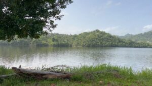 Proyecto de Pesca Recreativa Embalse La Plata | La Plata Reservoir Recreational Fishing Project | Toa Alta, A Wasted Trip That Turned Out Great! | Puerto Rico By GPS