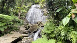 La Coca Waterfall | El Yunque National Forest | Rio Grande Puerto Rico | Puerto Rico By GPS