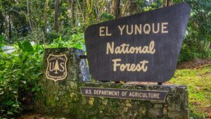 El Yunque National Forest Entrance | Puerto Rico By GPS