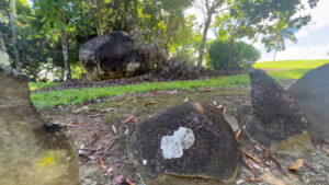 Butterfly Stone | Las Piedras, Puerto Rico | You’ll Be Surprised! | Puerto Rico By GPS