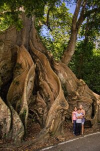 Ceiba Tree (my wife and grandchildren are included as a reference) | Patillas Puerto Rico Green, Rocky & Cool | Puerto Rico By GPS