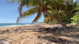 Playa Larga | Maunabo, Puerto Rico | A Tiny Town With Huge Possibilities | Puerto Rico By GPS