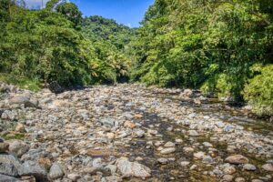 Marín River riverbed | Patillas Puerto Rico Green, Rocky & Cool | Puerto Rico By GPS