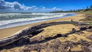 Landscape shot at Pozuelo Beach | Guayama, it could be so much more! | Puerto Rico By GPS