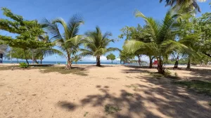 Cerro Gordo Beach | Vega Alta, A Town About A Beach, Puerto Rico By GPS